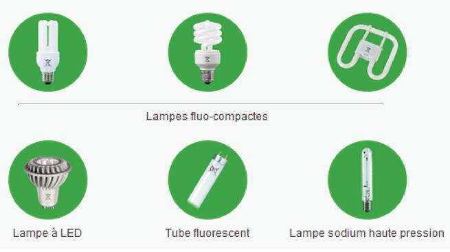 lampes qui se recyclent