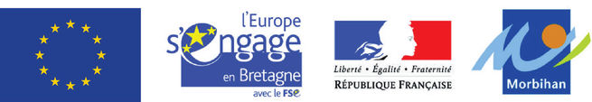 obligation fse + partenaire bis