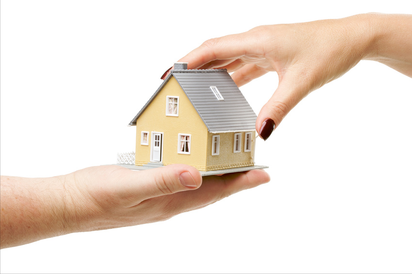 photo logement