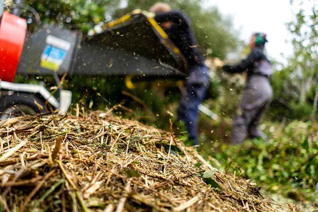 paillage-vegetaux-broyeur